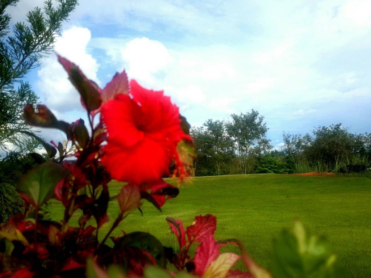 Baan Wang Mi Khaoyai Nature Retreat מראה חיצוני תמונה