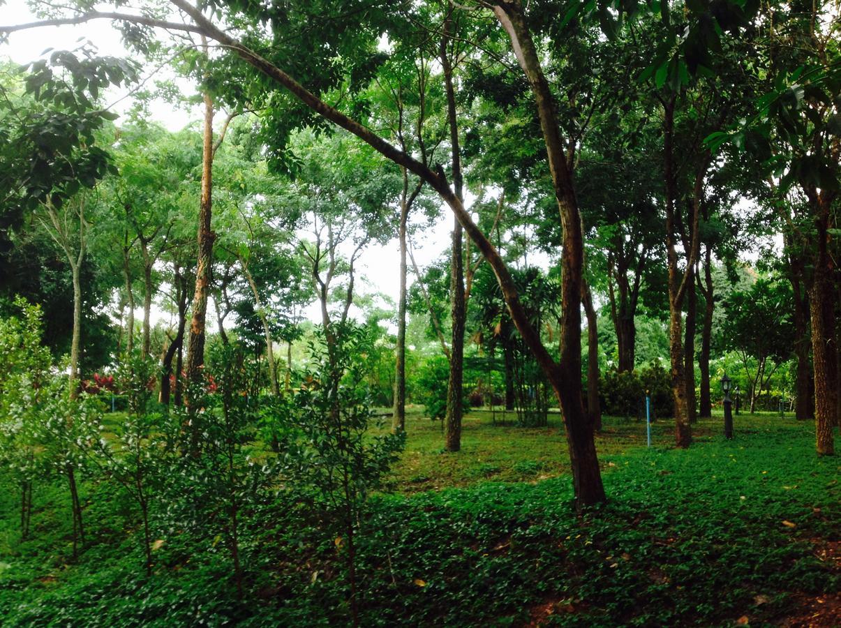Baan Wang Mi Khaoyai Nature Retreat מראה חיצוני תמונה
