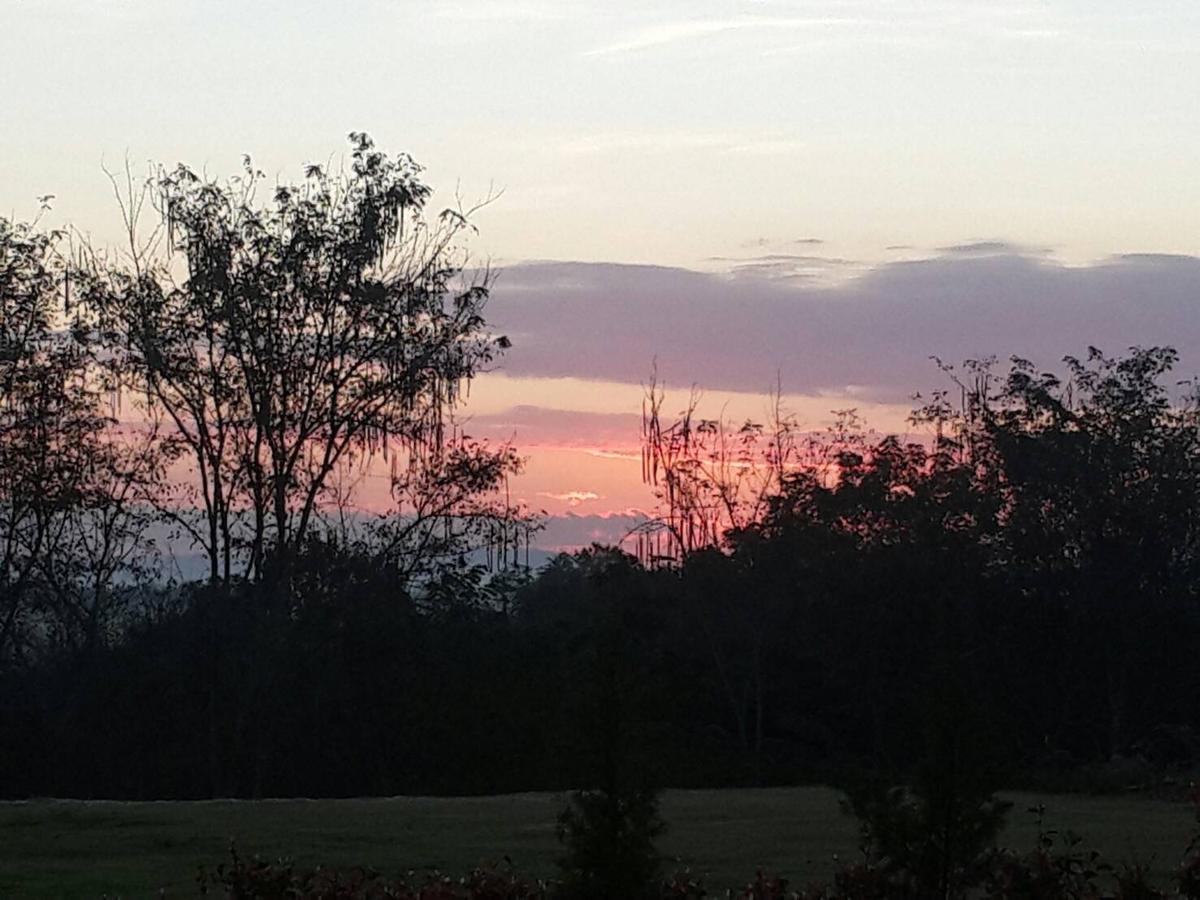 Baan Wang Mi Khaoyai Nature Retreat מראה חיצוני תמונה