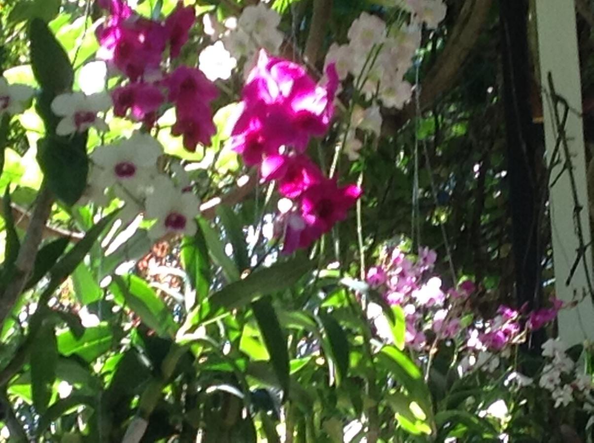 Baan Wang Mi Khaoyai Nature Retreat מראה חיצוני תמונה