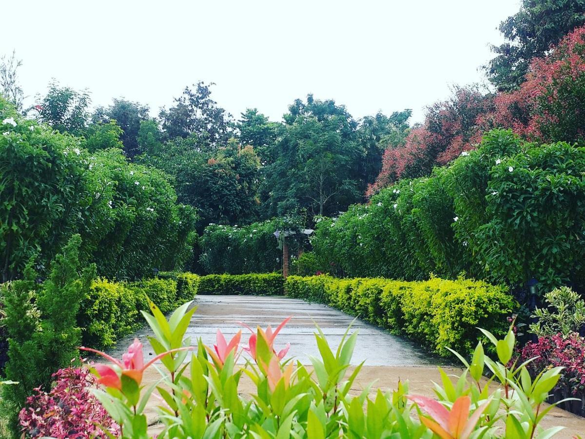 Baan Wang Mi Khaoyai Nature Retreat מראה חיצוני תמונה