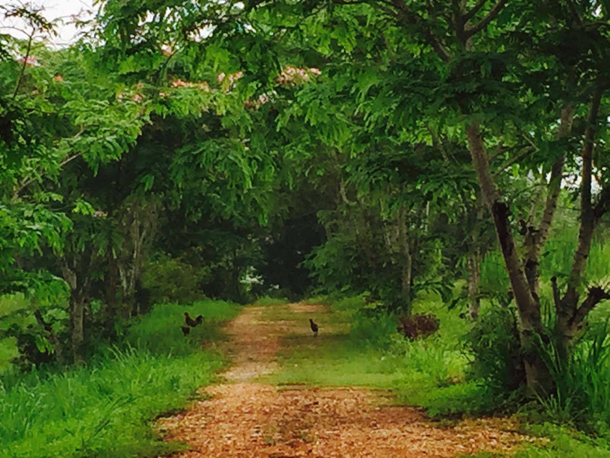 Baan Wang Mi Khaoyai Nature Retreat מראה חיצוני תמונה